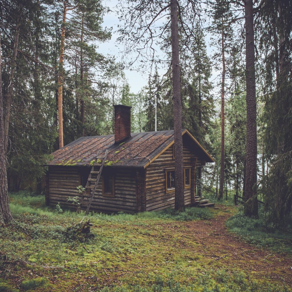 olivier-guillard-FKJgBUDoVC0-unsplash
